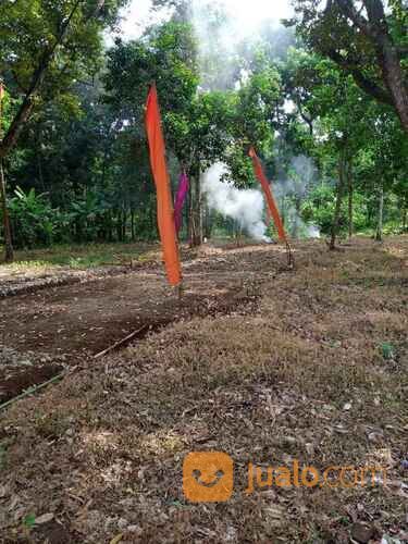 Tanah Kavling Murah Deket SKY Mansion Horizon di Beringin