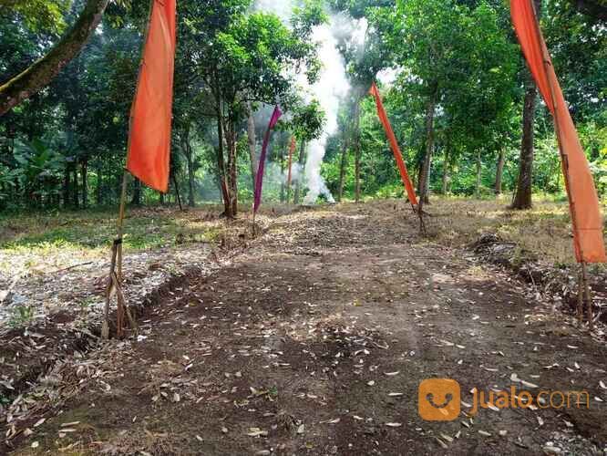 Tanah Kavling Murah Deket SKY Mansion Horizon di Beringin