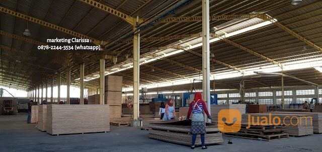 TRIPLEK MULTIPLEK PLYWOOD