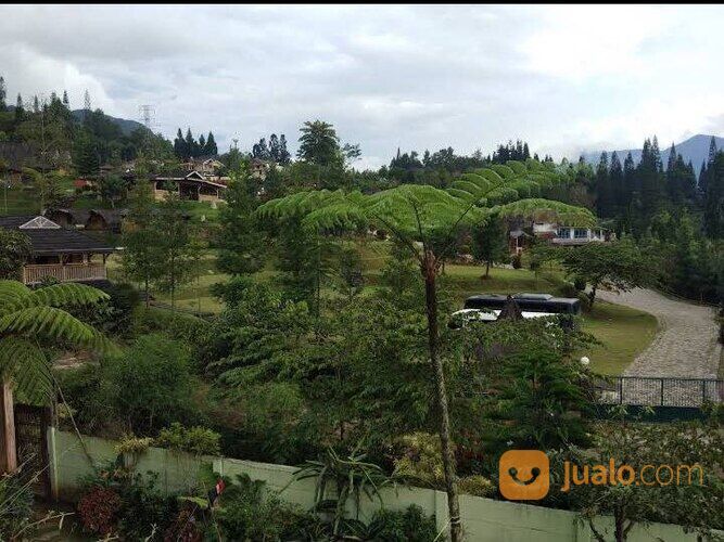 Villa Murah Sewa Aktif Puncak Bogor