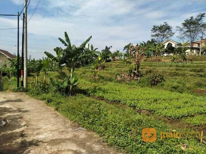 Tanah Bandung Timur Area Perumahan Cigending Ujungberung