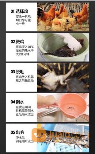 Mesin Pencabut Bulu Ayam / Cabut Bulu Bebek Mesin Bubut Bulu Ayam SS TM-60