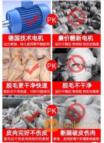 Mesin Pencabut Bulu Ayam / Cabut Bulu Bebek Mesin Bubut Bulu Ayam SS TM-60