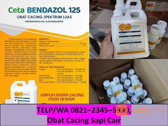 Obat Cacing Sapi Alami Bojonegoro