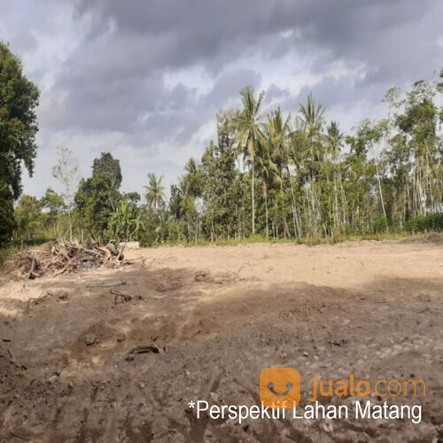 Kawasan Perumahan, Kavling Utara RS Mitra Keluarga Kota Tegal: 3 Jt-an