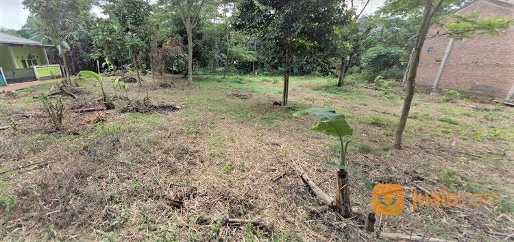 Tanah Hoek Siap Bangun Desa Taman Rahayu Setu Bekasi