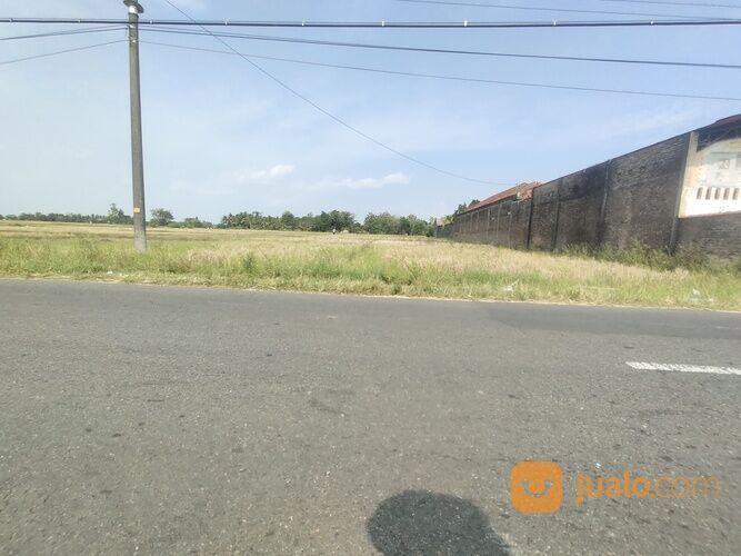 Tanah Sleman Jogja, Luas 100-an,500 meter ke Tugu Pirak Godean