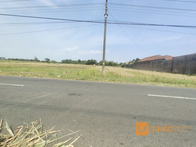 Tanah Sleman Jogja, Luas 100-an,500 meter ke Tugu Pirak Godean