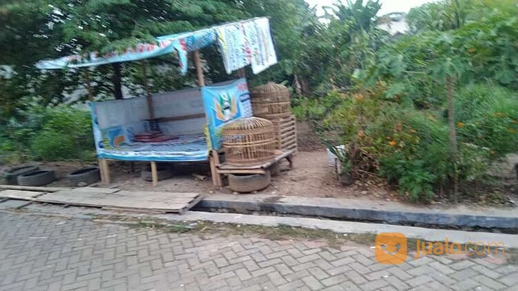 Tanah Siap Bangun Di Sayabulu Ciracas