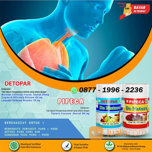 Obat Batuk Menahun Kronis Tuberkulosis Batuk Rejan Batuk gatal TBC Batuk TBC Kronis