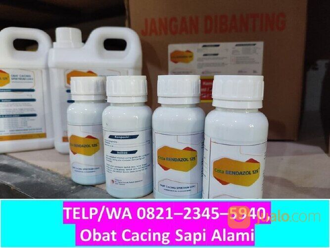 Obat Cacing Kambing Bondowoso