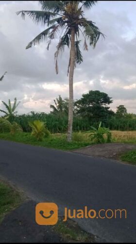 Tanah di Tegenung Kemenuh Sukawati Gianyar dkt Ubud