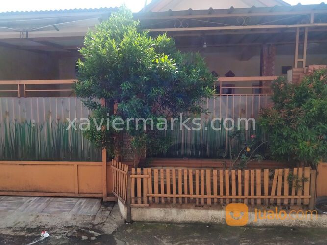 KEBON KELAPA PASAR KEMIS