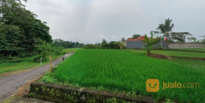 Kavling Kost Jl. Kaliurang Dekat Sleman City Hall Free Jalan 5 meter