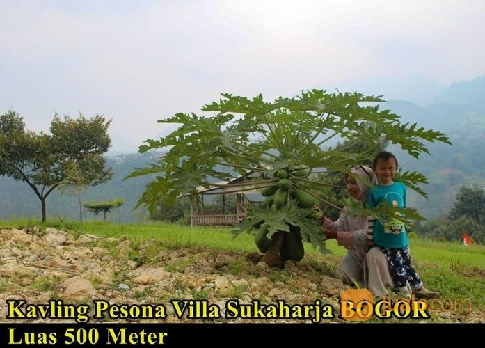 Tanah Luas 500m2 Murah di Bogor timur - Kavling Pesona Villa Sukaharja