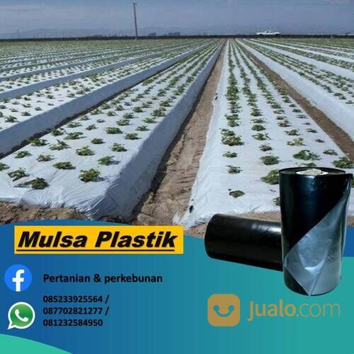 Plastik Mulsa Hitam Perak (Hercules) Bahan Berkualitas Kuat & awet