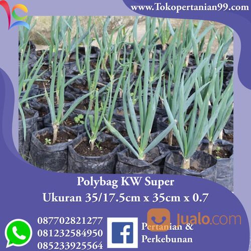 Ready Stock Polybag KW Super. Bahan Tahan Lama, Harga Bersahabat