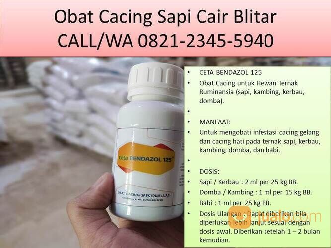 Obat Cacing Domba Garut Blitar