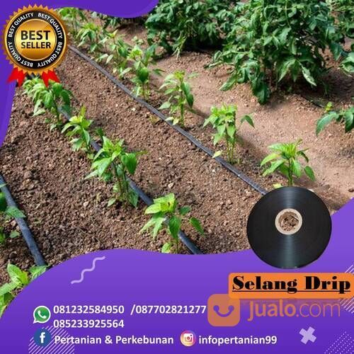 Selang Drip Irigasi Rolll, Harga Murah Bahan Berkualitas, Buruan Order!