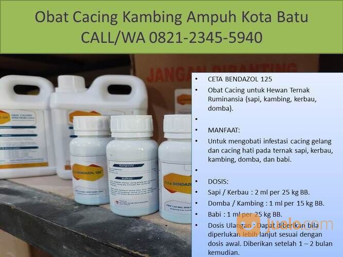 Obat Cacing Domba Garut Kota Batu