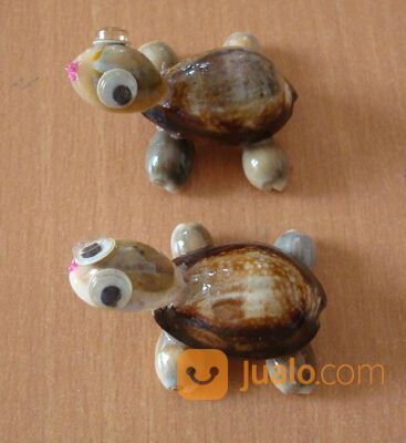 Pajangan Ornament Kura - Kura dari Kerang