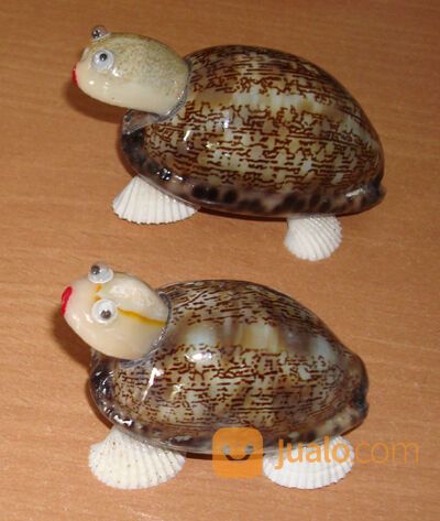 Pajangan Ornament Kura - Kura dari Kerang