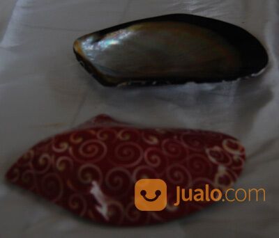 Wadah Sabun Unik Dari Kulit Kerang