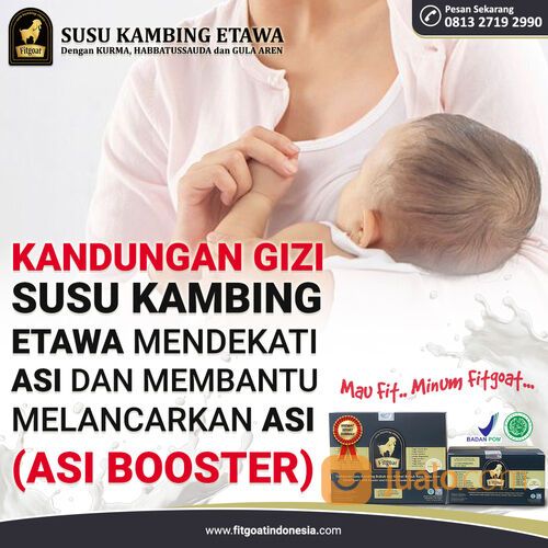 Fitgoat Susu Kambing Etawa dengan Kurma, Habbatussauda dan Gula Aren Minuman Sunnah yang Menyehatkan