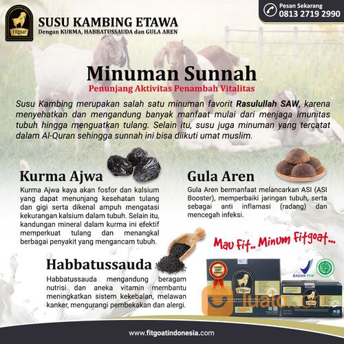 Fitgoat Susu Kambing Etawa dengan Kurma, Habbatussauda dan Gula Aren Minuman Sunnah yang Menyehatkan