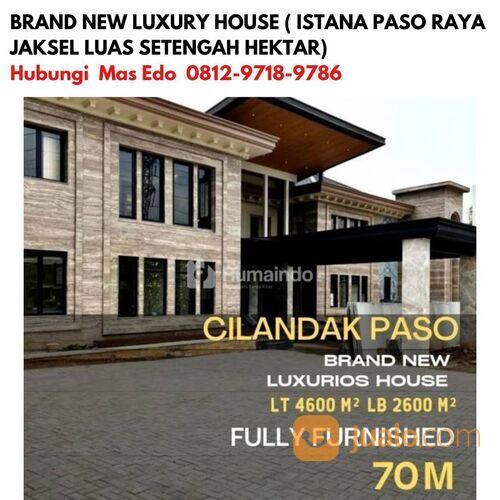 BRAND NEW LUXURY HOUSE ISTANA PASO RAYA JAKSEL LUAS SETENGAH HEKTAR