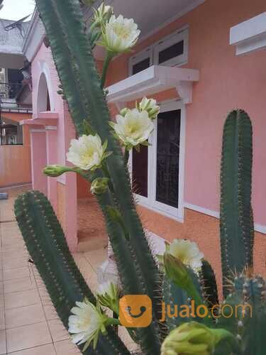 Rumah dalam Perum utara Mirota Kampus Godean