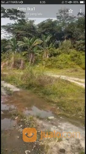 Tanah gunung maloko rumpin