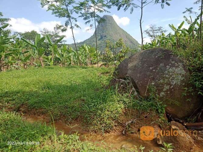 Lahan Kosong Tanah Kebun Produktif pemandangan indah Kavling Pesona Alam Pancaniti Bogor