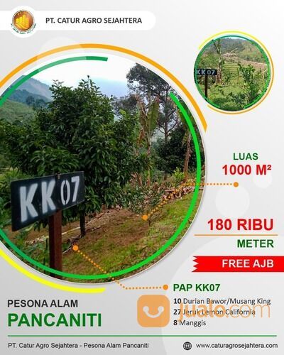 Lahan Kosong Tanah Kebun Produktif pemandangan indah Kavling Pesona Alam Pancaniti Bogor