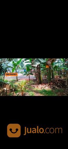 Tanah Sewa Luas 2000 Kampung Sawah Jati Melati Bekasi