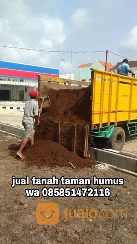 Harga tanah humus bangkalan untuk media tanaman