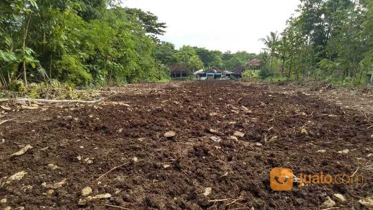 Tanah Dekat Pasar Sentolo Jogja, Cocok Kost Kawasan Industri
