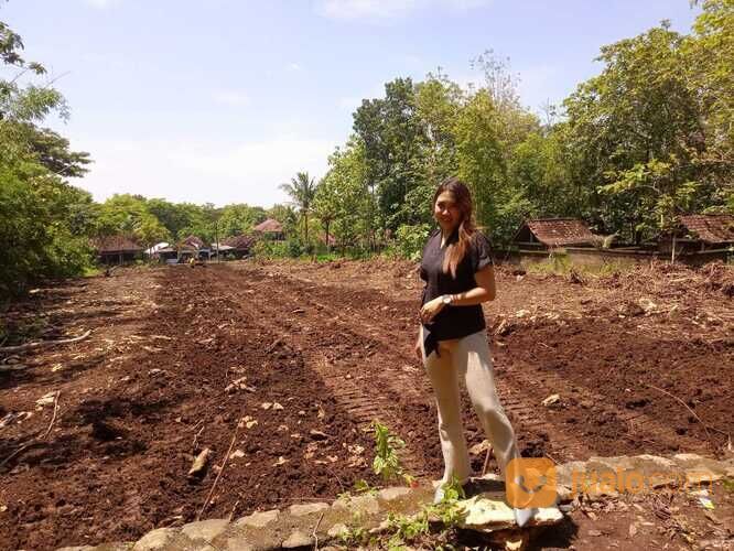 Tanah Dekat Pasar Sentolo Jogja, Cocok Kost Kawasan Industri