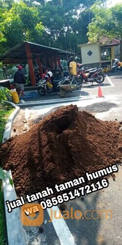 Tanah humus subur mojosari untuk media tanaman