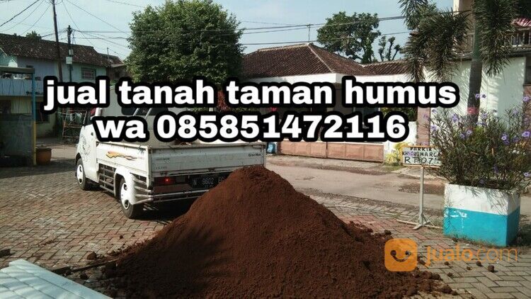 Tanah humus subur mojosari untuk media tanaman