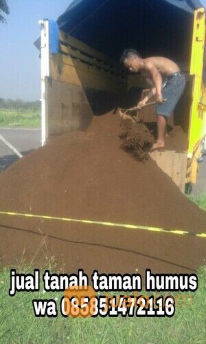 Tanah humus subur mojosari untuk media tanaman
