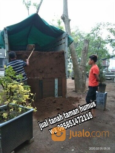 Harga tanah humus surabaya tanah taman siap kirim