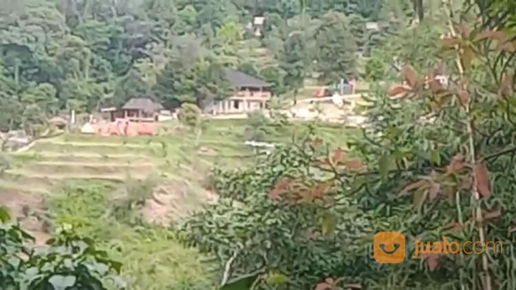 Kebun Manggis Produktif Depan Wisata Pabangbon