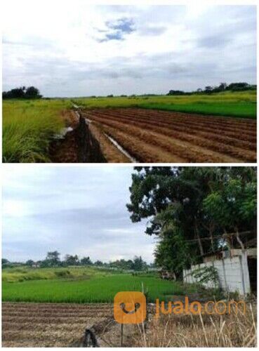 Tanah Sangat Luas di Jalan Raya Cikande Rangkasbitung