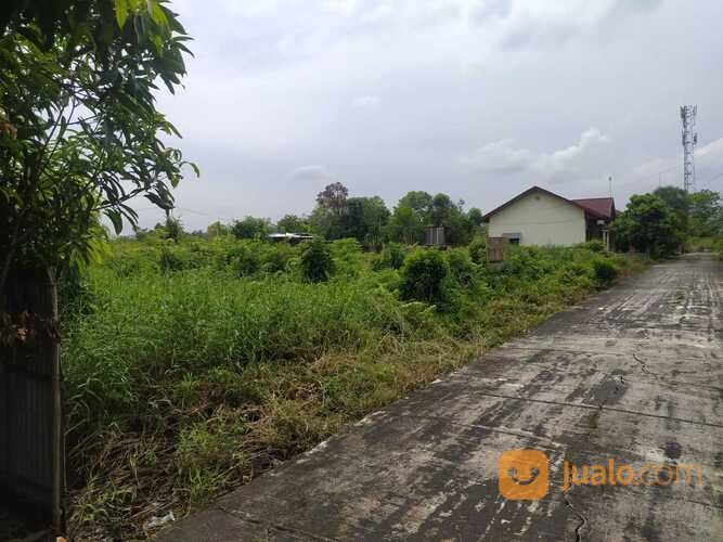 Tanah Kavling Jalan Paradise Gulama Paus di Tengah Kota Pekanbaru, SHM