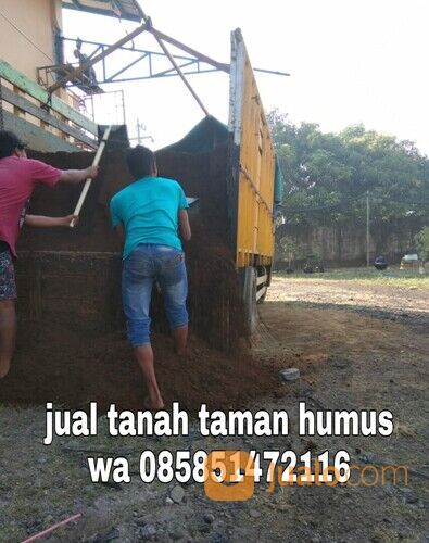 Harga tanah humus Ngasem tanah taman subur siap kirim