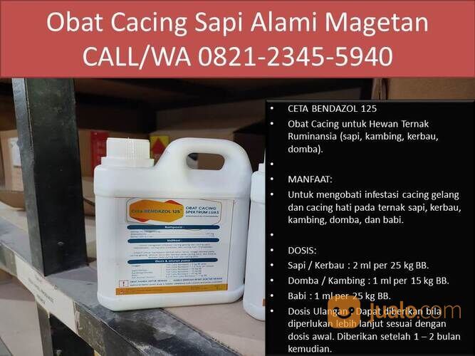 Ultra Mineral Kambing Kota Batu