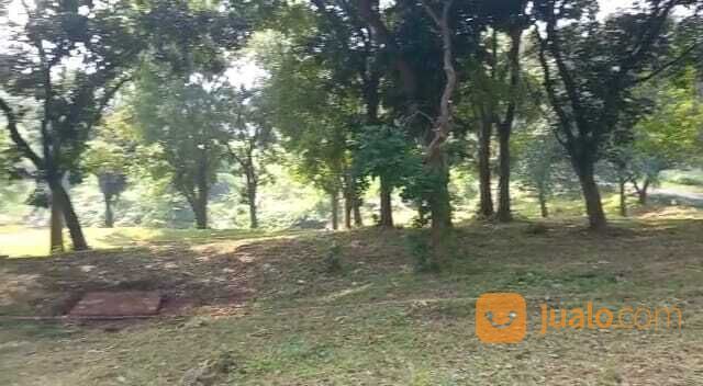 Diamante Resort Lake & Golf View Kavling 8jtan/m2 New Cluster Lokasi Jalan Utama