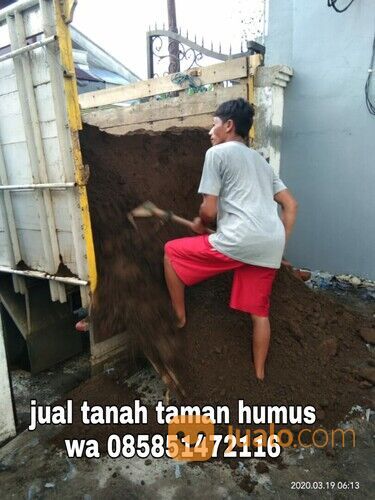 Tanah humus Magetan tanah subur untuk berbagai media tanaman