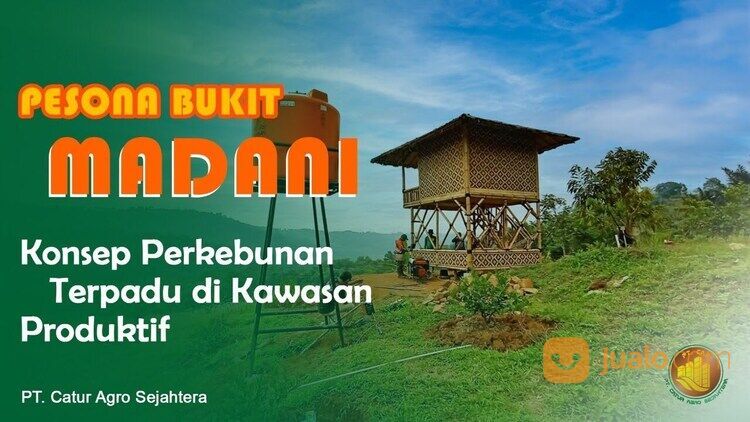 Pesona Bukit Madani - Kavling Kebun Produktif Kawasan Wisata dan villa di Bogor Timur